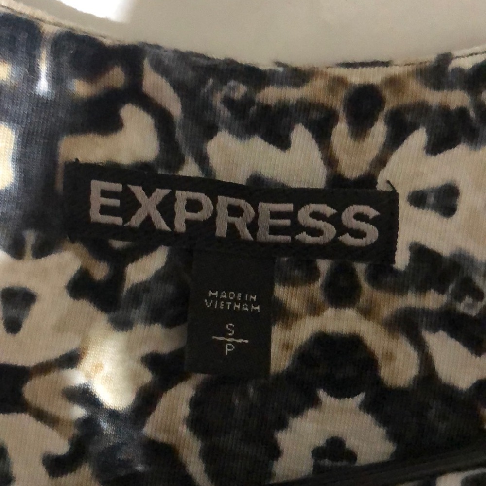 Express Dress - Picture 5 of 6